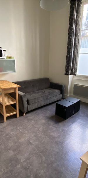 Location T1 bis meublé - POITIERS Centre-ville - Photo 2