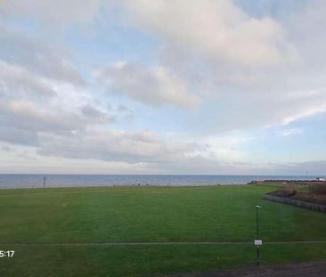 Beaconsfield Street, Hartlepool, County Durham, TS24 - Photo 6