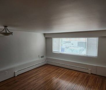 Updated Bachelor Suite in Marpole - Photo 1