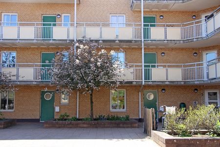 Klostergränden 5 - Foto 5