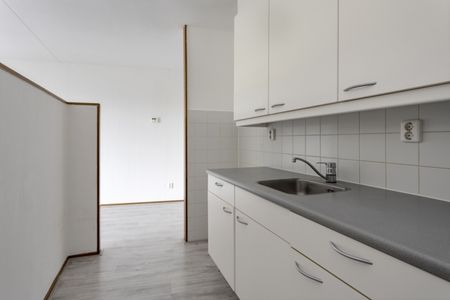 Til Brugmanplantsoen 16, 2525 ZZ, 's-Gravenhage - Photo 4