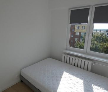 Kleosin kard. Stefana Wyszyńskiego - Zdjęcie 6