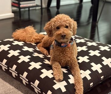 Port Melbourne - Photo 1