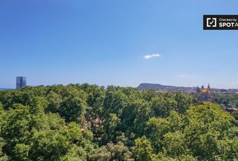 barcelona, Catalonia 08005