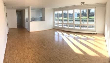 Au-dessus des toits de Hinwil - Foto 4