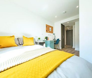 Large Studio - Photo 6