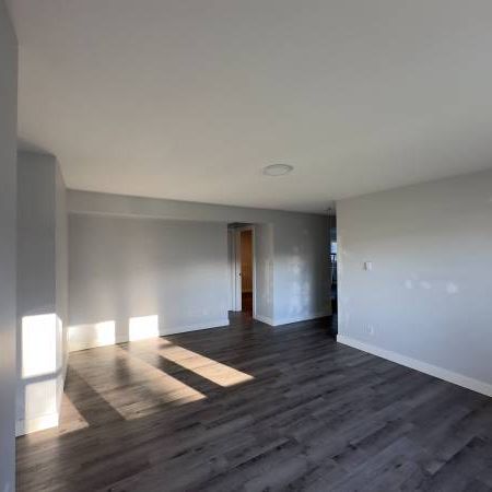 2 Bed 1 Bath Ground Floor Suite For Rent - Photo 4