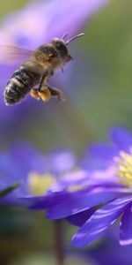 Ingatorpsvägen 1, Rumskulla - Foto 4