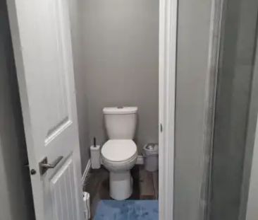 Brand new 1 bedroom basement | Secord Blvd NW, Edmonton - Photo 1