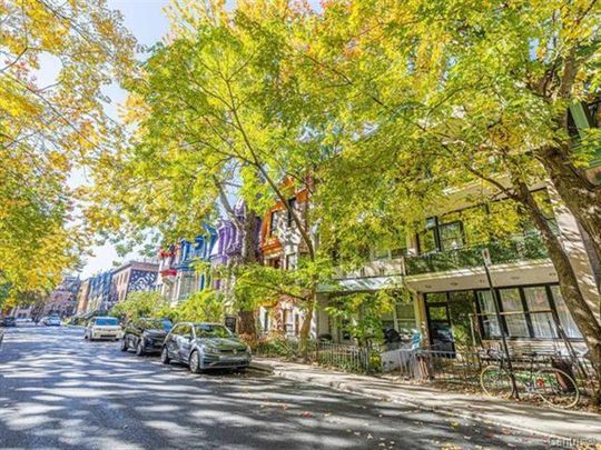 329 Rue du Square St Louis - Photo 1