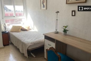 alicante, Valencian Community 03013