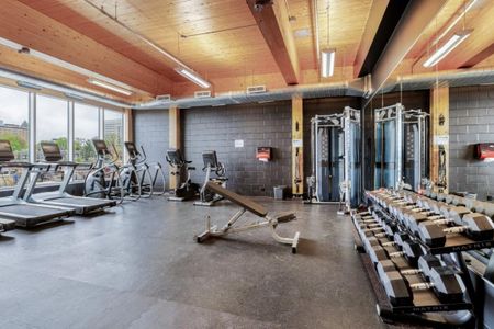 Appartement à louer - Québec (La Cité-Limoilou) (Saint-Sacrement) - Photo 4
