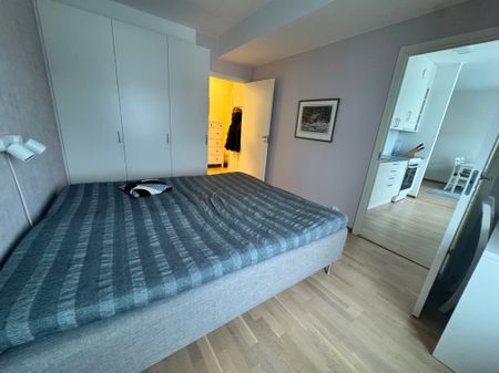 Alfens allé, Umeå - Foto 4