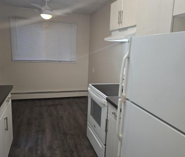 Modern 1 Bedroom Apartment Downtown Available Now - Photo 4