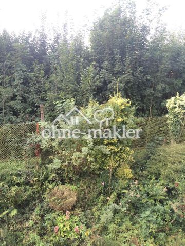 1-Zimmer Appartment, schön aufgeteilt -mit Einbauküche- zu vermieten - Photo 5