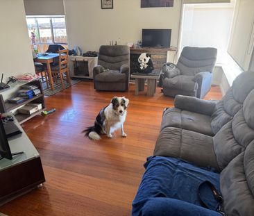 Bentleigh East - Photo 2