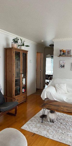 4 1/2. Style Condo-Rock-Forest - Photo 1