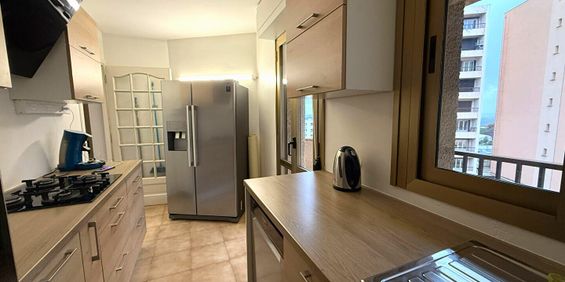 Location Appartement 1 pièce 41m² - Photo 3