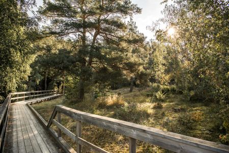 Haga skogsväg, Karlstad - Photo 2