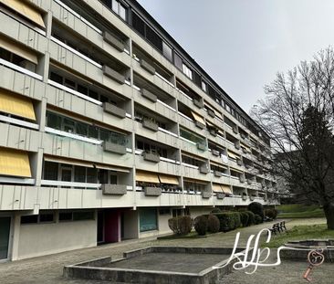 Avenue de Vaudagne 56, Meyrin, Suisse, 1217 - Photo 1