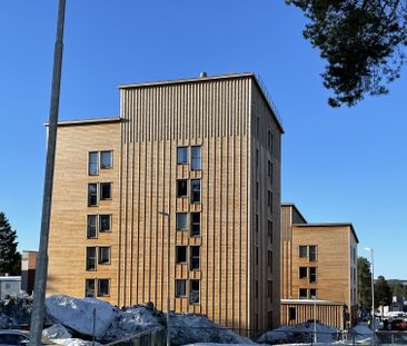 Gruvgatan, Skellefteå - Photo 1