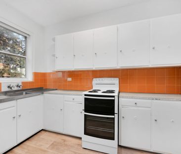 Bright Sunny 1 Bedroom Apartment, Minutes Walk To Coogee Beach - Photo 2