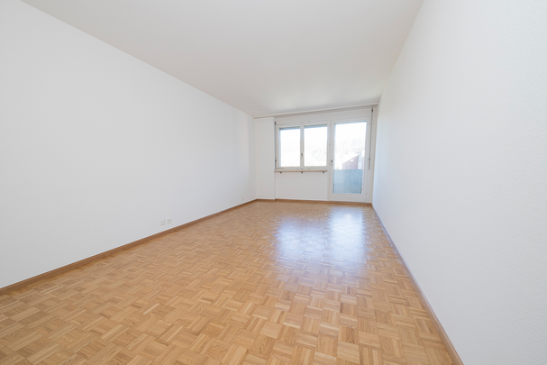 sanierte 5.5-Zimmerwohnung in Münchenstein an ruhiger Lage! - Photo 1