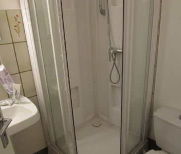 Location Appartement 1 pièce 13m² RENNES 35000 - Photo 3