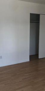 Beau 3 1/2 - Photo 3