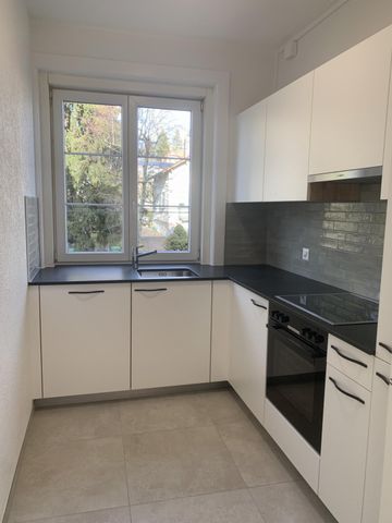 3 Zimmer, 65 m², 1. Stock - Photo 3