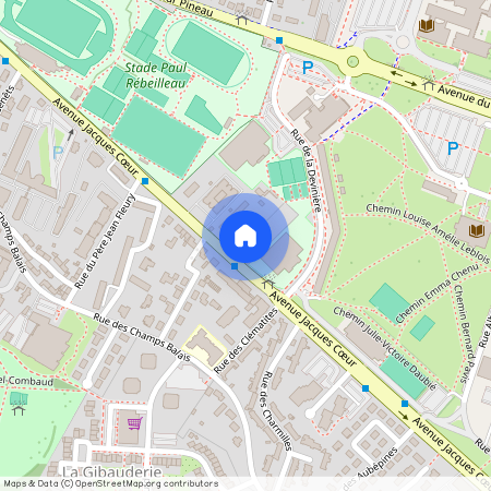 95 avenue Jacques Coeur, 86000, Poitiers