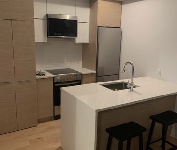 2100 Boul. St-Laurent, apt. 406 - Photo 3