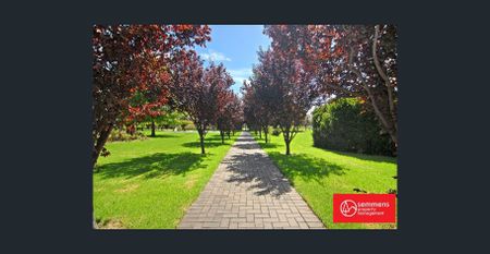 Light-filled New York-style first-floor apartment. Next to a beautiful park and cafes. Easy city access. - Photo 5