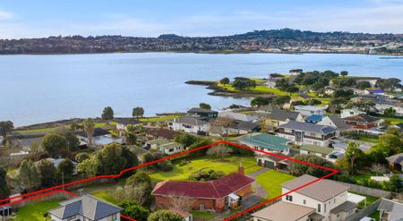 Lifestyle Property in Central Auckland - Photo 5