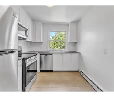 389-401 Yonge Street | 401 Yonge Street, Kingston - Photo 1