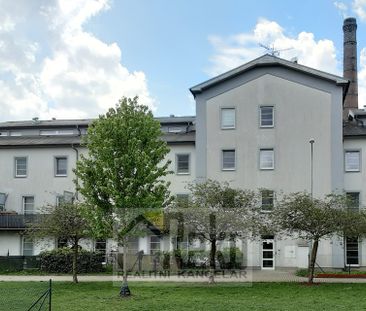 Pronájem bytu 2+kk 61 m², V Zahradách, Beroun - Photo 2