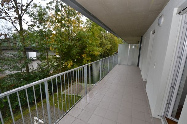 Jakomini – 56 m² – 3 Zimmer – WG geeignet – großer Balkon - Foto 1