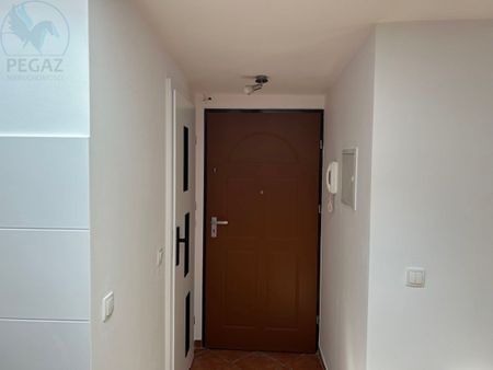 Emilii Sczanieckiej, Poznań - Photo 5