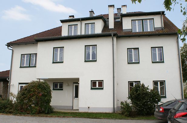 Wohnung in Schweiggers - Foto 1