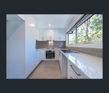 195A Pennant Hills Road, Thornleigh, NSW 2120 - Photo 3