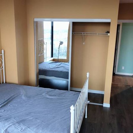 Great views! 1 bedroom near Douglas College SFU Columbia Hospital - Photo 4