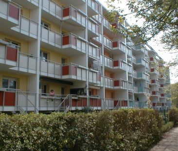 Mit Aufzug in die neue Wohnung - Foto 5