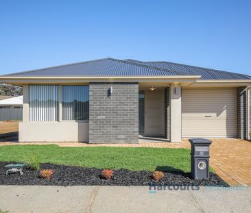 20 Polo Drive, Mount Barker SA 5251 - House For Rent - $600 | Domain - Photo 4