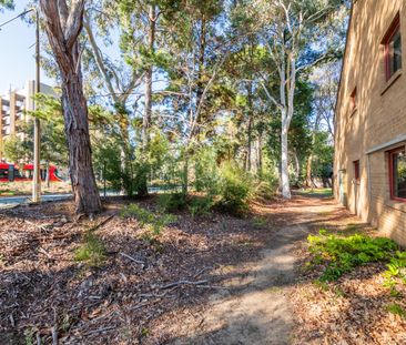 Cosy Ground Floor Lyneham Apartment - Photo 2