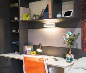 Classic Studio - Photo 5