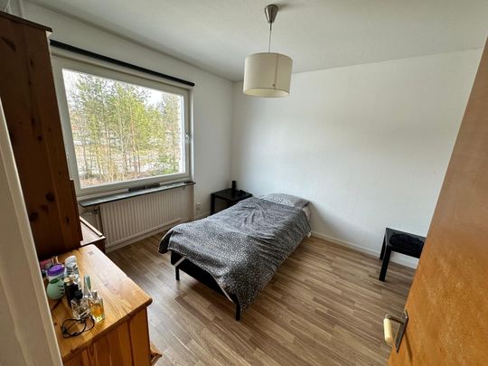 Bogatan, Skelleftehamn - Foto 1