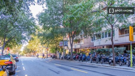 barcelona, Catalonia 08036 - Photo 5