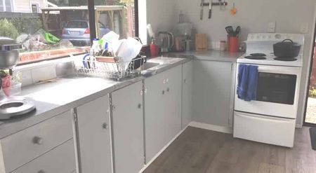 2 Bedroom Home beside the Maitai - Photo 3