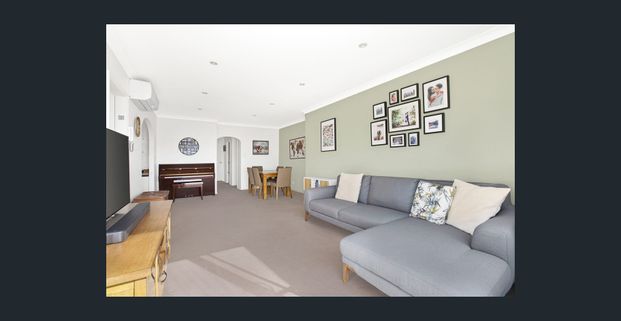 Replete with Light, Palatial Appeal - Photo 1