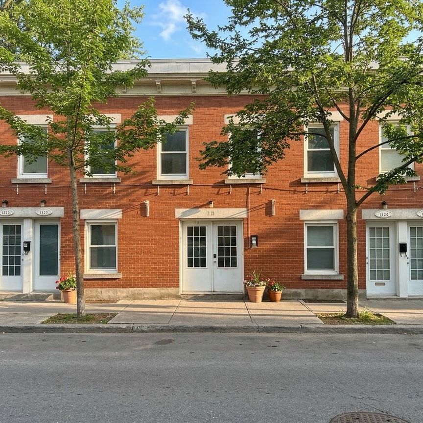 Appartement Montréal (Ville-Marie) À Louer - Photo 1